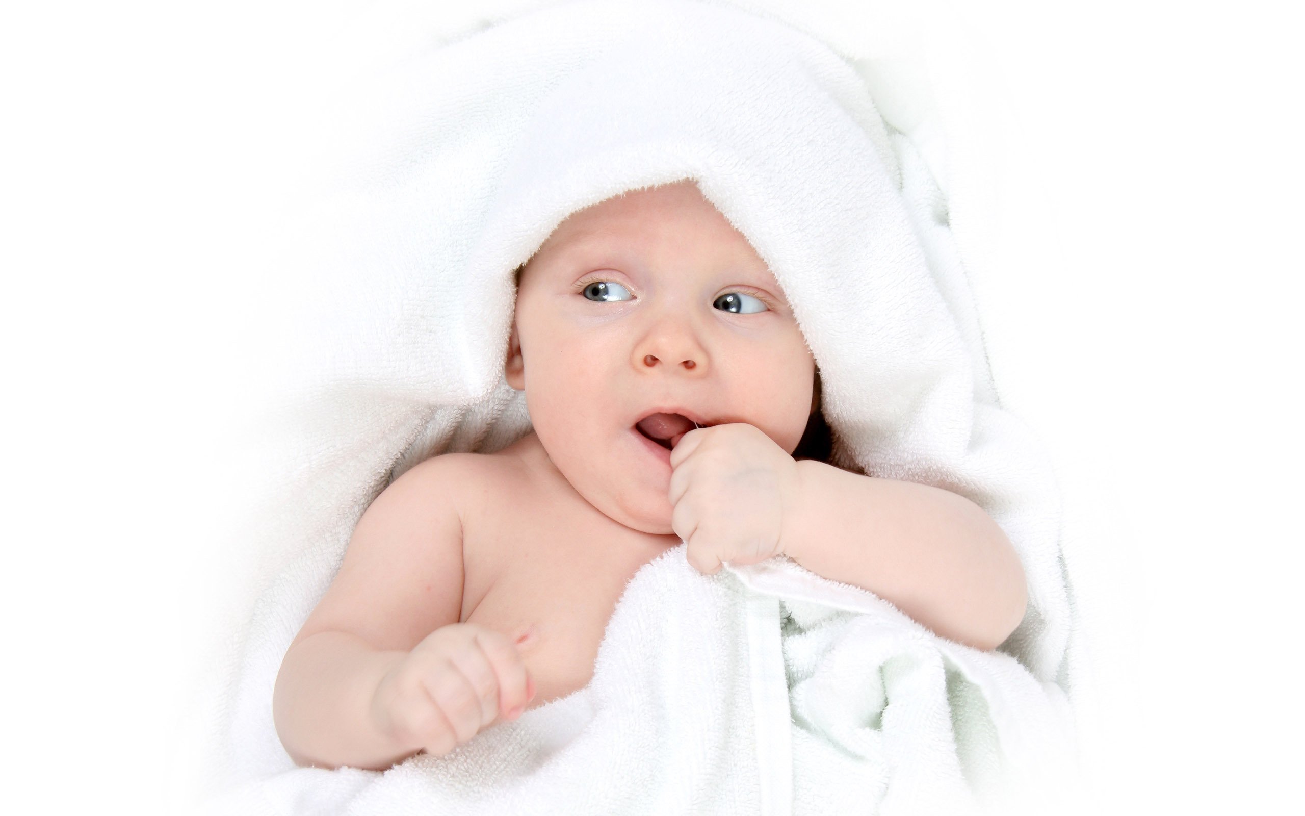 湖州供卵代生试管婴儿短方案成功